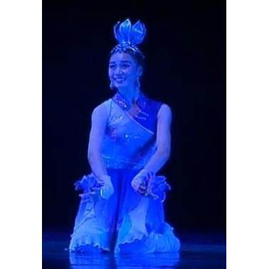 新款/舞台演服出古典舞服装/马兰花民族/舞蹈服装桃李