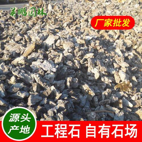 挑选独立造景小型峰石鱼缸点缀真石头厦门水族青龙石不规则小英石