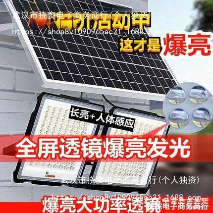 阳能庭院照明灯全自动人体感应户外防水室内家用一拖二分体高亮