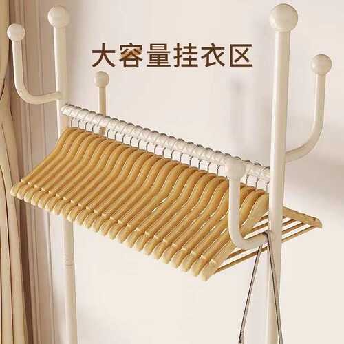 衣服衣帽架衣架家用移动轮卧室简易轻带多功能挂衣奢仙人掌架落地