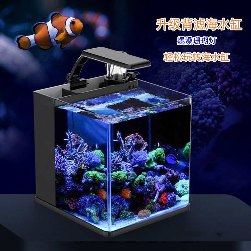 海水鱼缸客厅小型桌面玻璃生态鱼缸懒人家用迷你小海缸水族箱