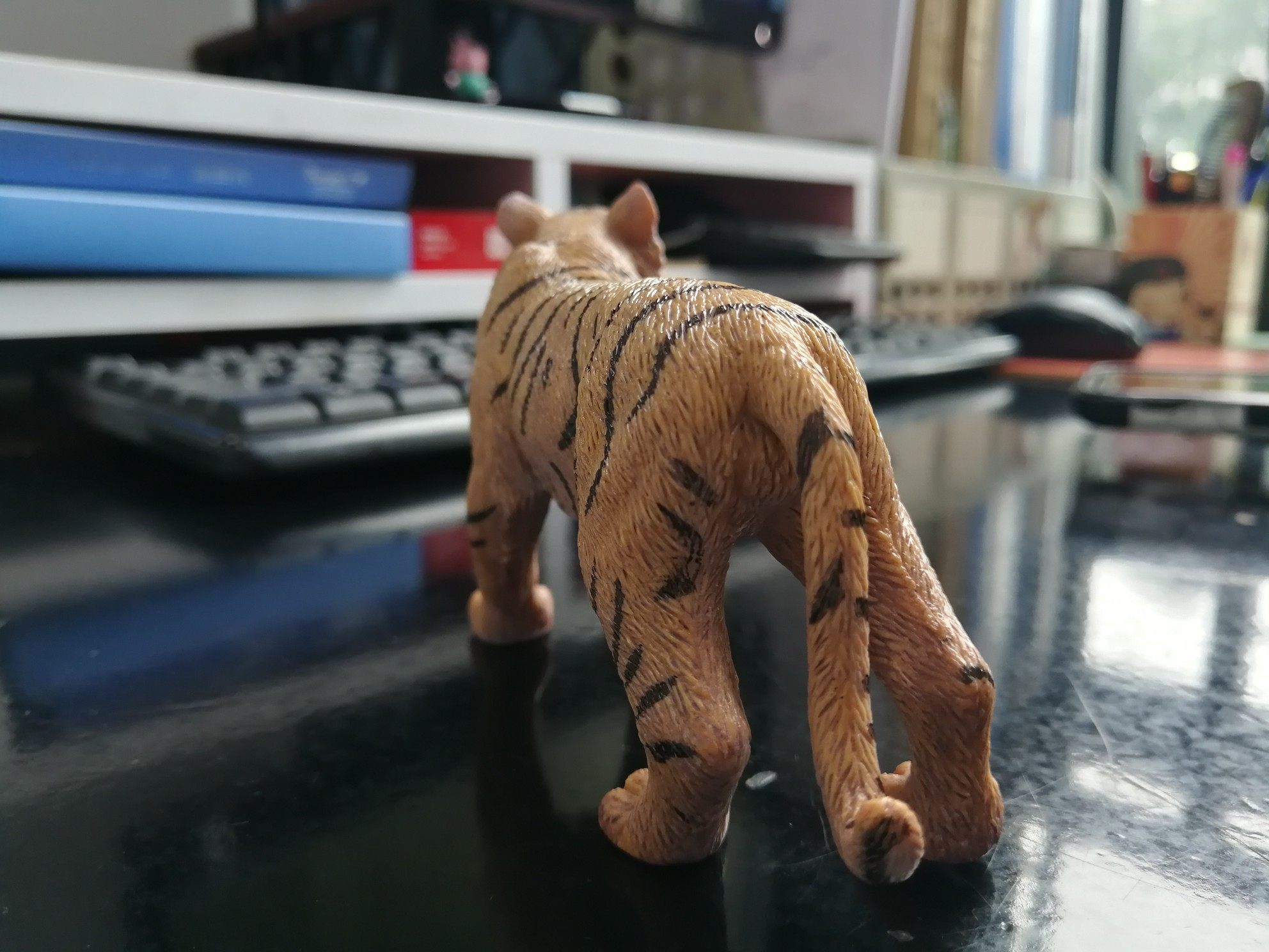 国家地理正版授权 WENNO 仿真野生动物模型玩具 天猫优惠券折后￥19.9包邮（￥29.9-10）多款可选