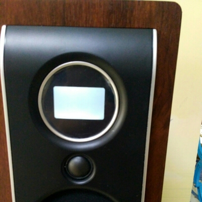 山水 H7家庭ktv音响好不好呢？音响效果好吗？
