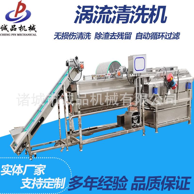 中药材气泡清洗机大型蓝莓黄皮果清洗设备净菜涡流清洗加工流水线