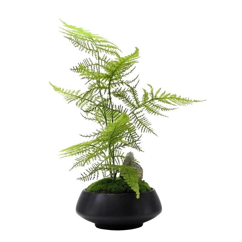 新中式仿真绿植盆景样板房客厅茶几售楼处玄关植物文竹盆栽摆件