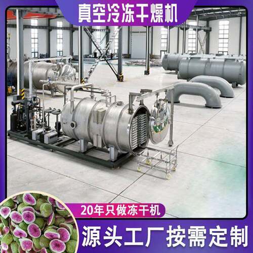 食品级冻干机 果蔬宠物食品冷冻干燥设备 锁色锁形保留营养