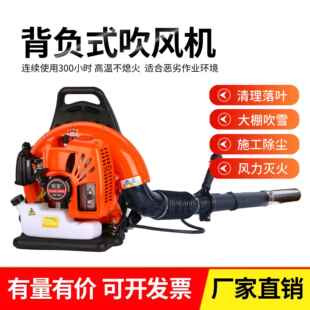 锐姿大功率风力灭火机背式汽油吹风机落叶道路除尘养护大棚吹雪机