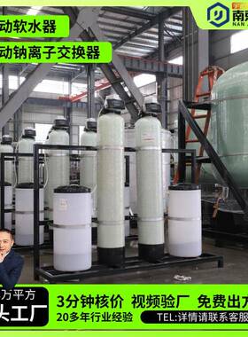 全自动软水器钠离子软水机交换器工业软化水设备BTN水处理器