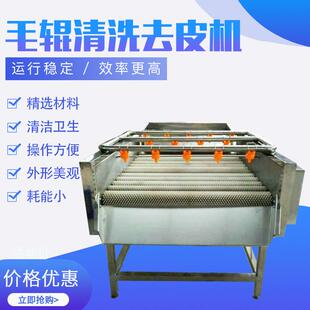 毛辊清洗去皮机土豆苹果表面清洗机厂家供应果蔬表面清洗机