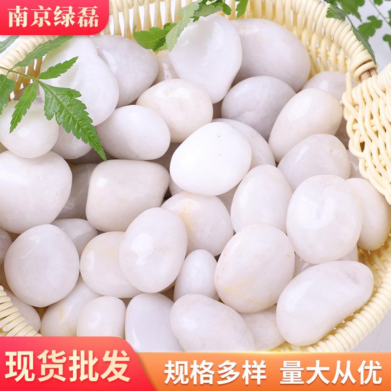 白色抛光鹅卵石盆栽鱼缸光雨花石艺白色抛光铺地装饰园园林景观石