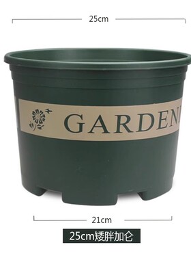 黑加仑花盆花盆园艺用品草莓花瓶