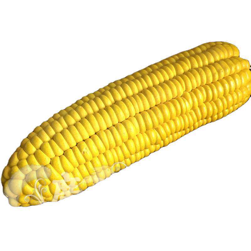 真品紫砂寿山石仿生摆件家庭餐厅黄瓜土豆烧鸡水果盛宴直供玉器