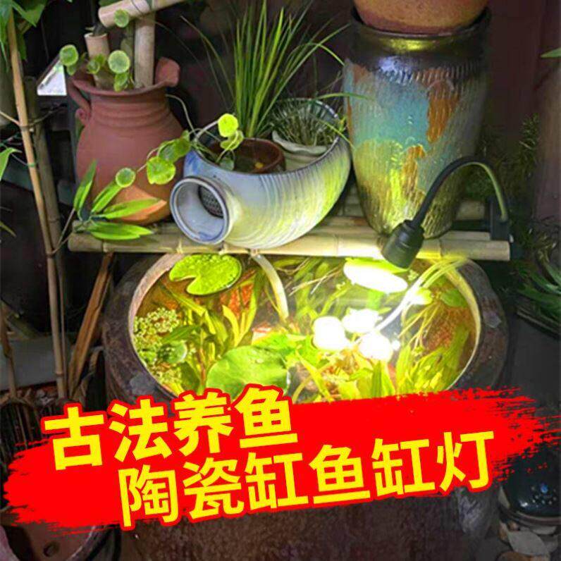 古法鱼缸补光灯陶瓷水缸专用灯南美原生溪流水草造景鱼缸射灯led图片