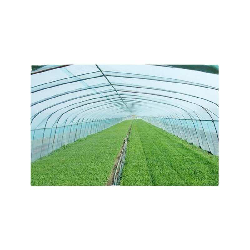 天津q235大棚管 规格齐全 养殖大棚 蔬菜大棚管 温室 养殖大棚