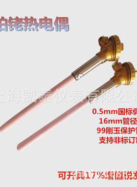 铂高温耐高温型热电偶高温护套铑-铑型刚玉热电偶swrp铂炉丝b130