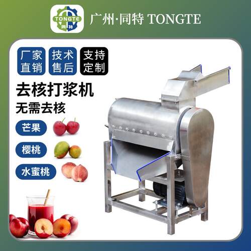 去核打浆机果蔬加工水蜜桃打浆机樱桃打浆机芒果去皮打浆机