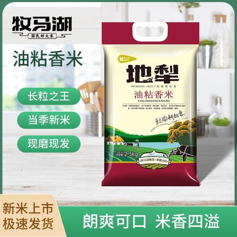 新疆包邮牧马湖大米当季新米油粘米长粒香米5kg10斤装籼米煲仔蛋
