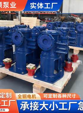GC50*2浸没式三螺杆泵水电站调速器设计液压装置配套液压螺杆泵