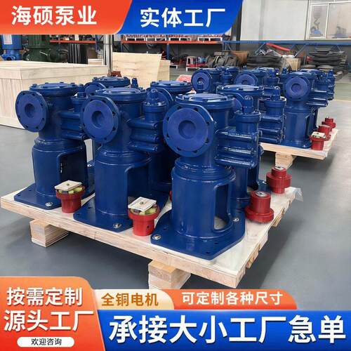 3GC50*2浸没式三螺杆泵水电站调速器设计液压装置配套液压螺杆泵