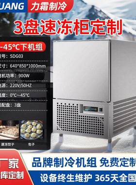 冰箱速冻柜商用榴莲海鲜包子饺子速冻机速冻急冻锁鲜全自动食品级
