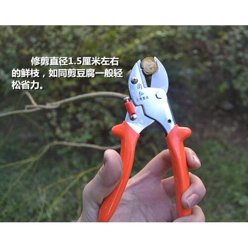 台湾冈弘岡弘V519省力剪强力枝剪冈弘修枝剪园艺剪粗枝剪花