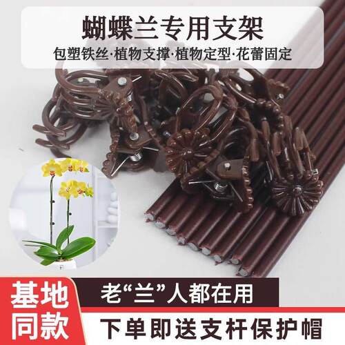 蝴蝶兰支架夹子爬藤类造型铁丝防倒伏园艺花卉植物支撑杆铁艺包塑
