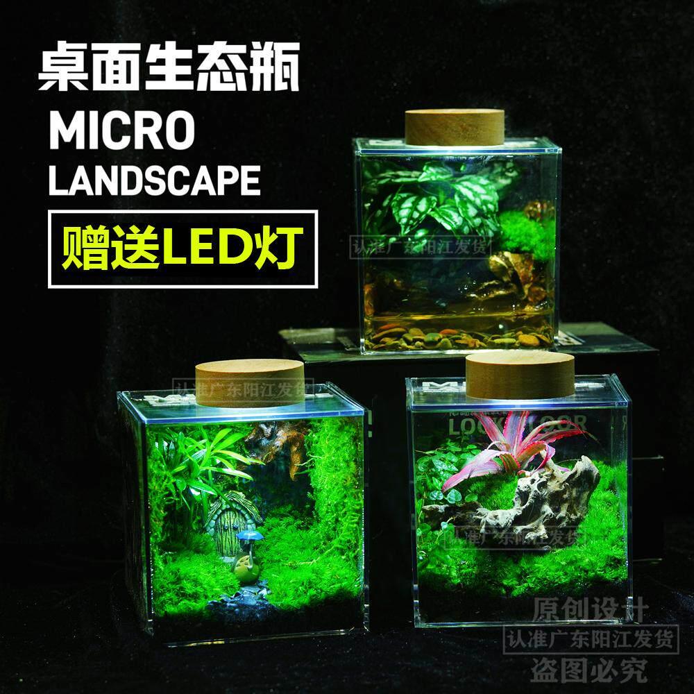 苔藓微景观生态雨林缸造景办公桌面植物盆栽成品室内小盆栽生态瓶