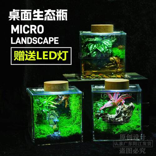 苔藓微景观生态雨林缸造景办公桌面植物盆栽成品室内小盆栽生态瓶