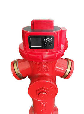 智能刷卡取水栓 刷卡型智能消火栓 SS100/65-1.6ZN消防栓4G地上栓