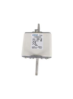 限流式熔断器 保险丝 170M6203 质量保证
