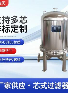 定制化工烛式精密过滤器30芯40寸芯式过滤器不锈钢保安过滤器