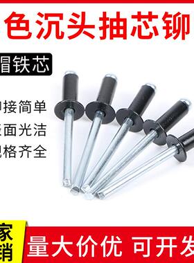 NuSun 柯基(中小型犬)成犬鸡肉燕麦专用粮 2.5KG黑色抽芯沉头圆头