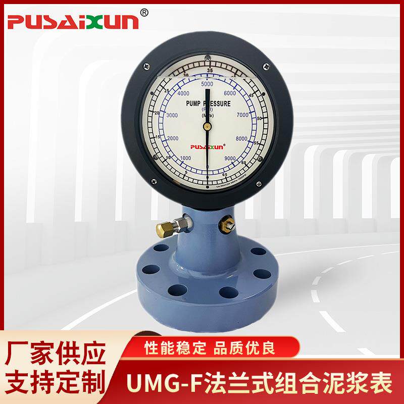 UMG-F法兰式组合泥浆表测量泥浆泵压压力表吊钳扭矩压力测量表