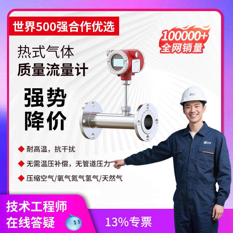热式气体质量流量计压缩空气流量计管道高温插入式进口气体流量计