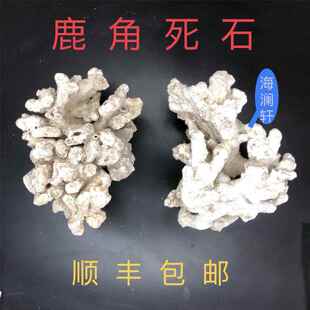 死石海水缸造景石天然鹿角珊瑚石生物石水族箱造景假山布景三湖缸