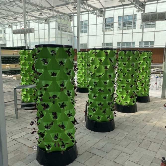 菠萝塔无土栽培霧培设施水果蔬菜大棚气雾栽培模式立体栽培系统