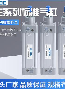DNC标准气缸SE32/40/50/63/80/100-50*75X100/125/175/200PPV-A-S