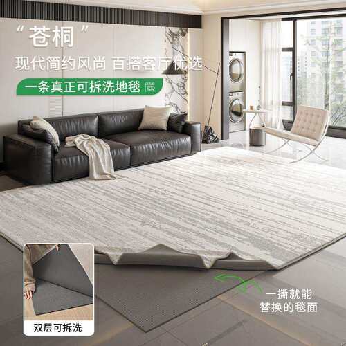 可拆洗地毯客厅现代简约新款防水防污意式家用双层可机洗地毯家用
