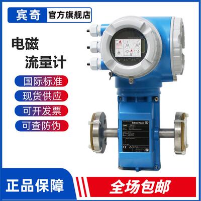 Endress+Hauser电磁流量计Promag9恩德斯豪流量计5P3B15-13WE9