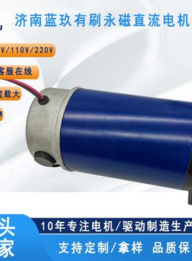 摘菜小车用减速电机直流有刷电机110ZYT涡轮减速机RV40-7.5