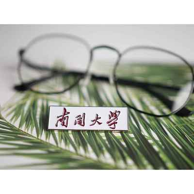 南开大学校徽 南开校徽 南开大学徽章 南开大学纪念品