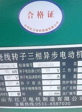 山东厂家直供YRT116-6/95W绕线转子三相异步电动机质量保障