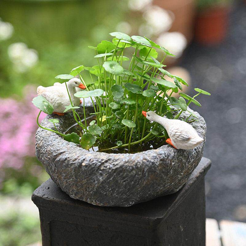 覆古铜钱草花盆石臼鸭子水培花盆碗莲一线 线莲水培盆花园摆件庭