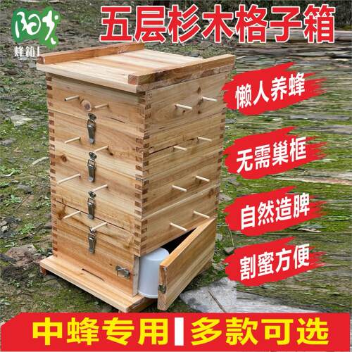 格子箱中蜂 土养蜂箱全套蜜蜂箱 加厚杉木蜂箱养蜂工具蜂桶诱蜂箱
