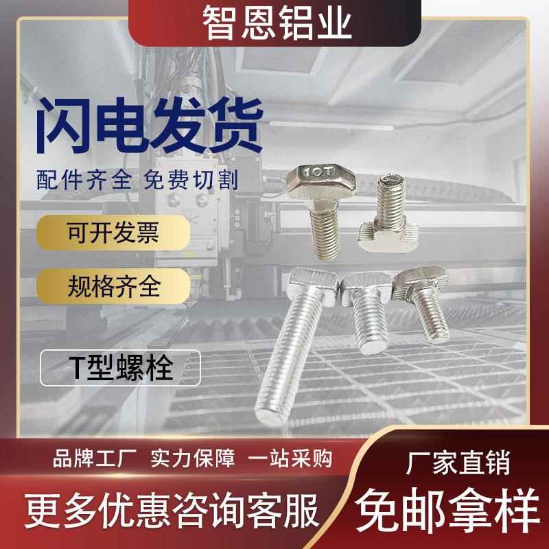 欧标 国标工业铝型材配件后置T型螺丝船型t形螺栓20 30 40 45系列