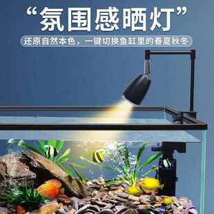 溪流缸全套玻璃新款鱼缸造景大小型客厅乌龟缸底部排水鱼龟混养缸