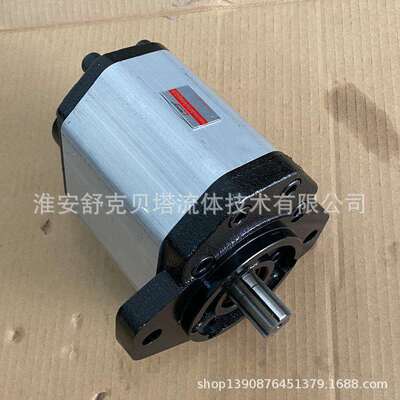 BHP3AOD50H4Z7-R液压齿轮泵