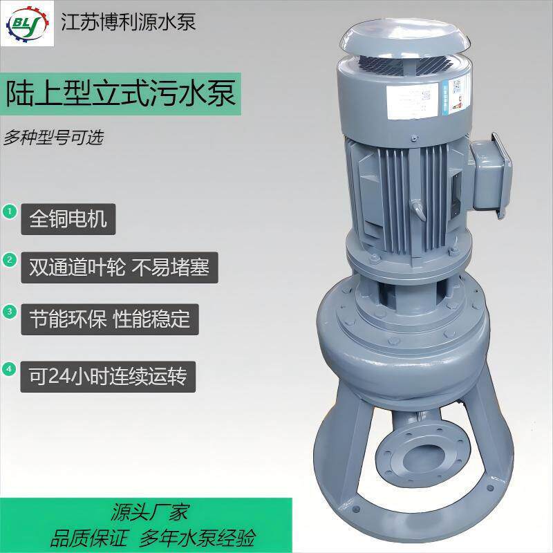 厂家直供博利源PTV陆上型污水泵4KW水泵PTV80-4-4P陆上泵