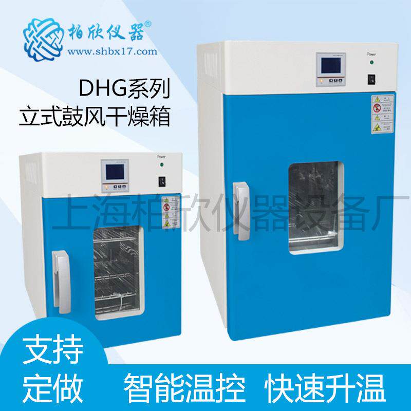 上海立式鼓风干燥箱DHG-9240A