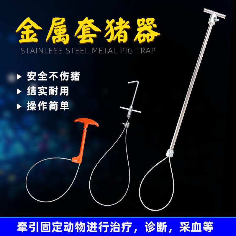 套猪器猪用绑定器保定器 不锈钢拴大猪套子 拉猪器套狗器抓猪工具
